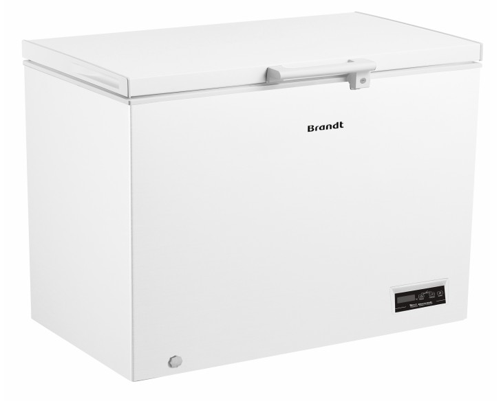 CONG. BRANDT BFK301ESW