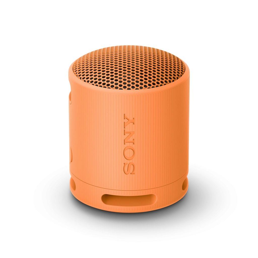 ALTAVOZ BT SONY SRSXB100 NARAN